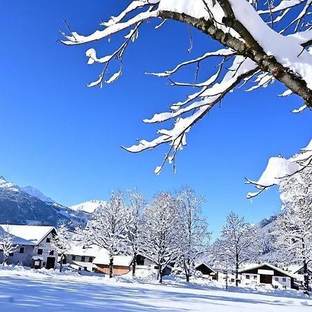 Daire Haus Marion Ehrwald