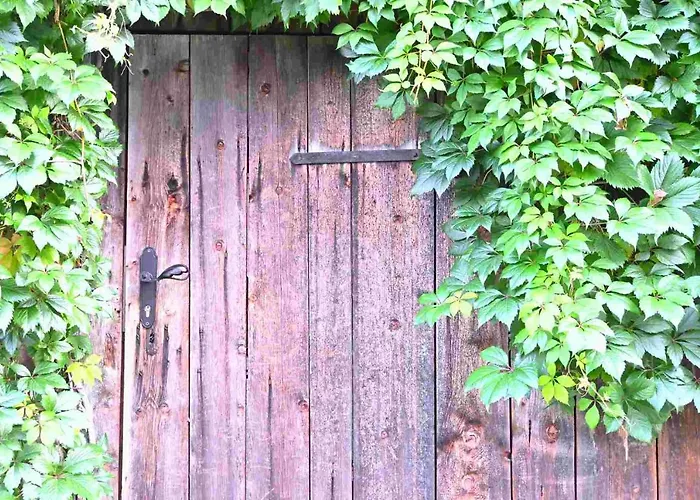 Haus Marion Apartment