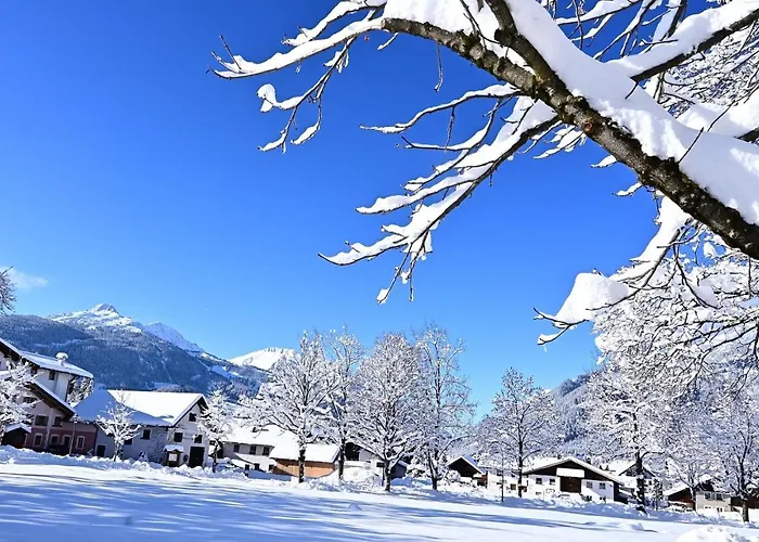 Apartment Haus Marion Ehrwald